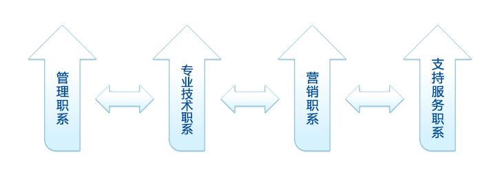人才發(fā)展(圖1)
